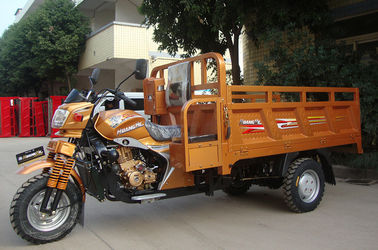 L'adulte a motorisé le réducteur de transmission automatique de moto de roue du tricycle trois de la cargaison 200CC