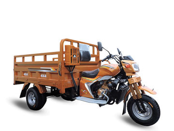 La roue 3 a motorisé le tricycle de cargaison du tricycle 250cc intensifiant le trois-roues du chariot pour des adultes