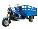 Repassez le tricycle motorisé de la cargaison 250cc d'entraînement d'axe avec l'axe différentiel pour le chargement lourd