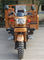 L'adulte a motorisé le réducteur de transmission automatique de moto de roue du tricycle trois de la cargaison 200CC