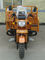Moto de cargaison de trois roues/moto 300cc roue du Roi Loader Gasoline 3