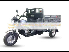 Trois roues motorisées tricycle cargo 175CC refroidissement à air CDI allumage