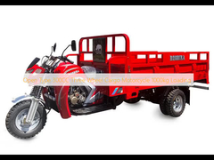 Type ouvert 300CC moto de charge à trois roues 1000 kg Chargement