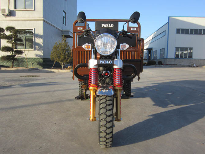 Moto d'or de cargaison de roue de la couleur trois pour l'équitation de fond