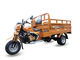 Le chariot de luxe a motorisé le tricycle de cargaison/moto automatique 250cc de 3 roues