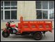 Capacité de chargement superbe puissante du rouleur 900Kg du Chinois 3 de tricycle de cargaison de la vitesse 250CC